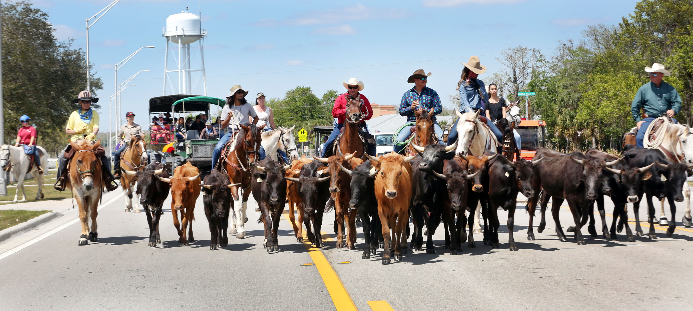 Cattle drive evokes fond memories of Morgan Smith • The Seminole Tribune