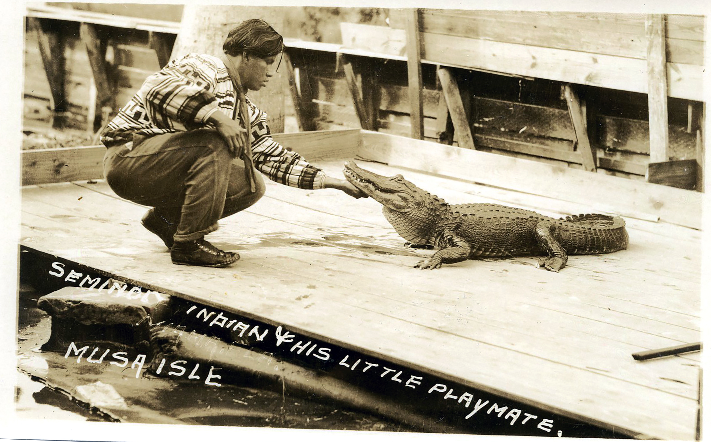 Capturing a Seminole tradition: alligator wrestling • The Seminole Tribune