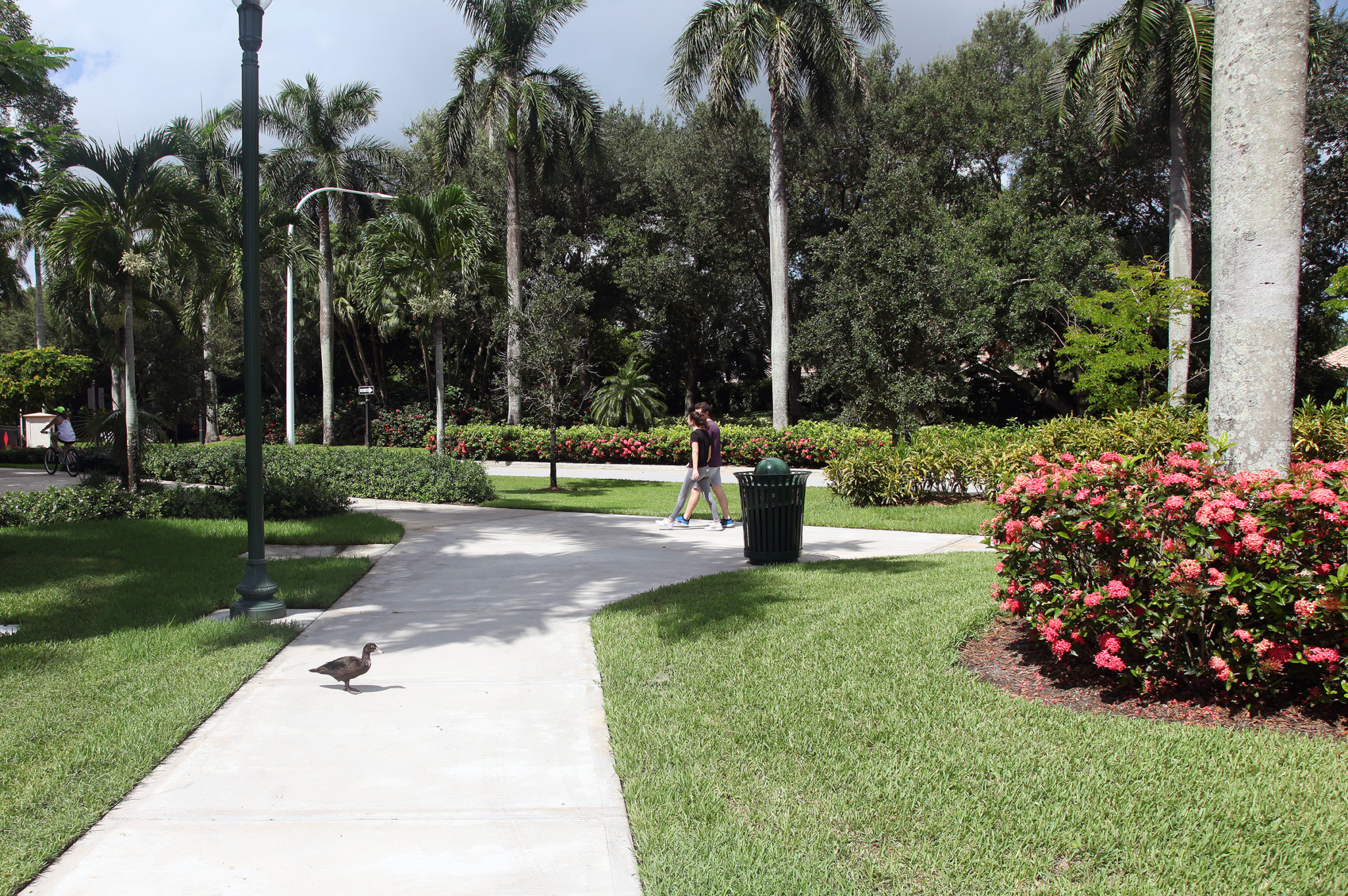 Experience Florida’s Indigenous history in Weston • The Seminole Tribune