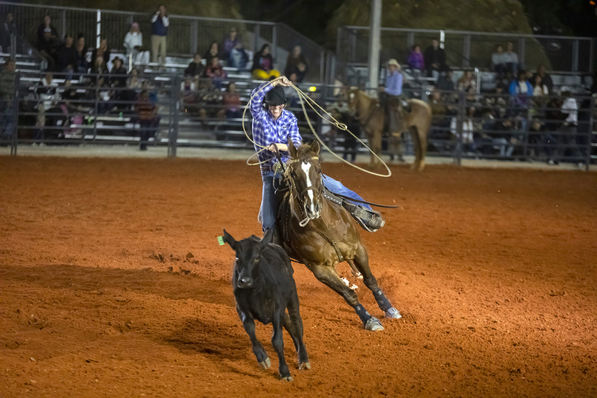 Betty Mae Jumper, Bill Osceola rodeos light up Hollywood Reservation • The Seminole Tribune