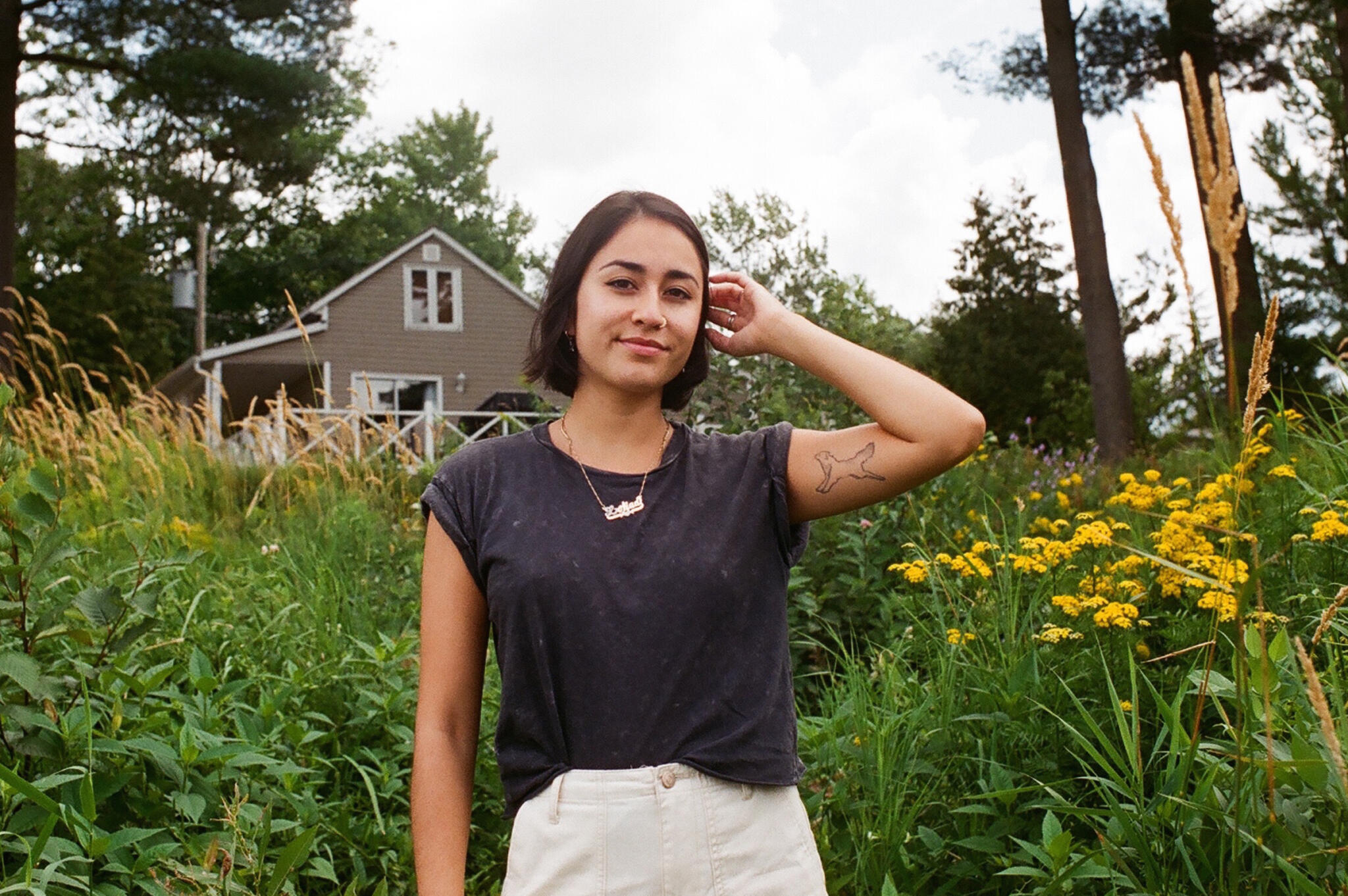 The seminole essay 04 image